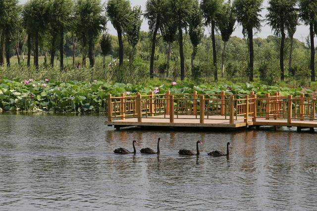 辽宁的“巨无霸”公园，有铁岭“绿明珠”之称，门票还免费