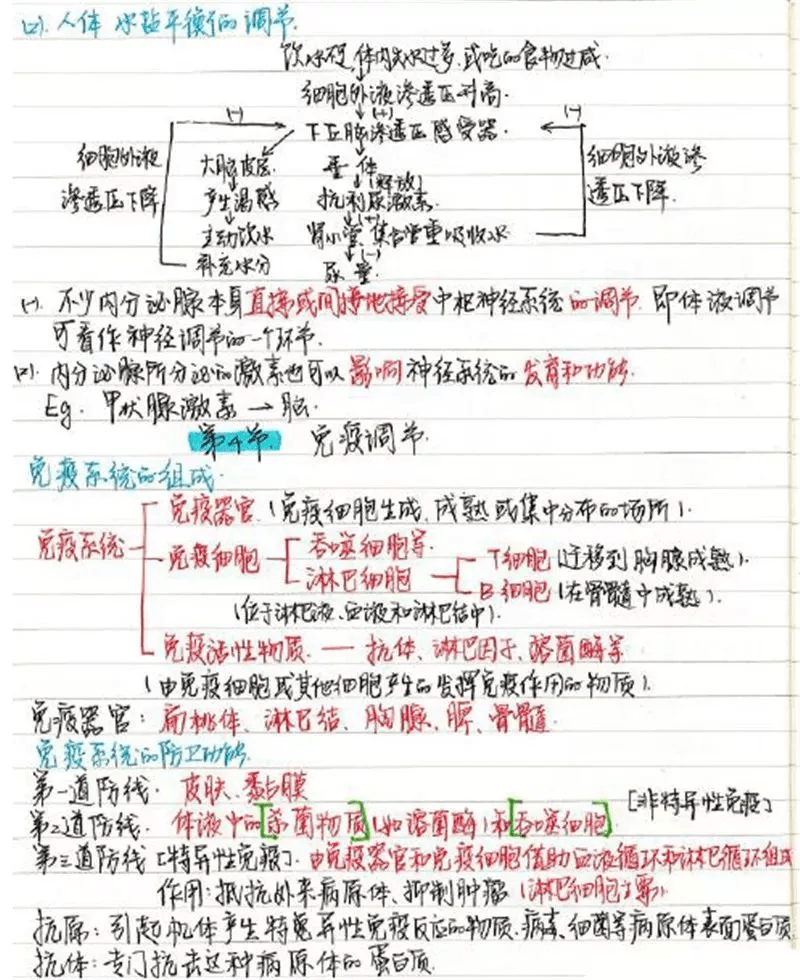 e3760f5ff92c4b36a94d1365e4f7ea22.png