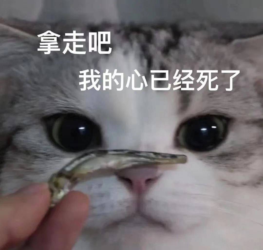 843b24220ee4420aa21c375f40842e2d.jpeg