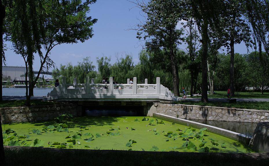 天津一公园被4A“砸中”，历史悠久门票免费，身处市区游客不绝