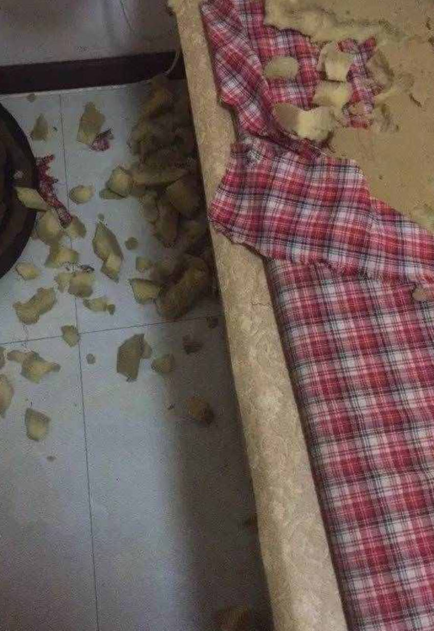 網友加班回到家中，才進門火氣就壓不住了，得燉個狗肉壓壓驚 萌趣萌寵 第1张