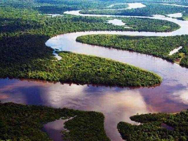 亚马逊河有多可怕？为啥人们不敢下河游泳？看这3种鱼就懂了