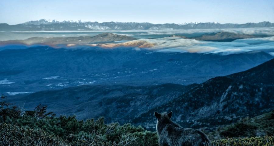 手上没有用户的家电厂商啥也不是?-家电圈官网