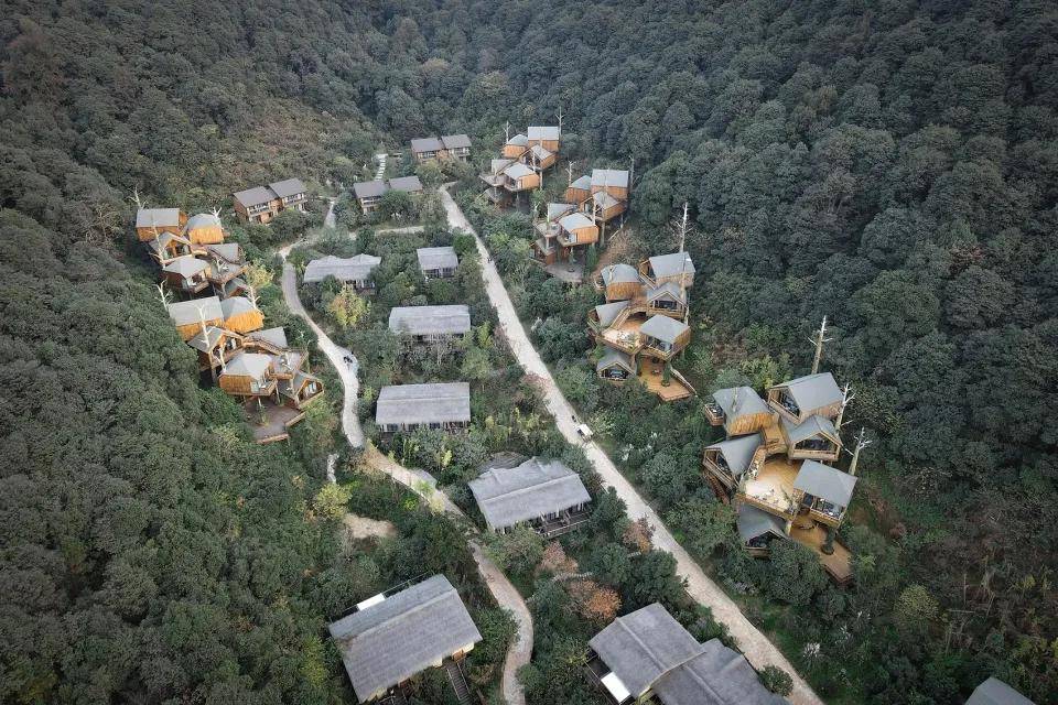 【京郊民宿】山野间的树屋酒店 | 树梢之间的一堆小房子
