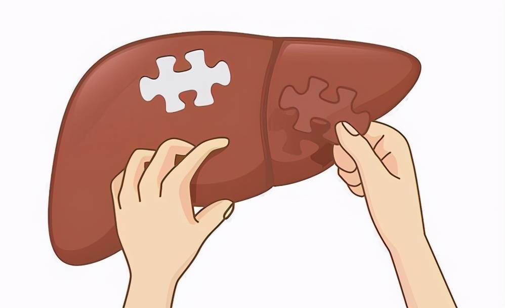 怎么检查肝脏是否健康 02fbd6ac44204debab54fc0e1e571287.jpeg