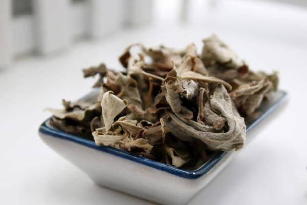 俗语 家有三年艾 郎中不用来 是什么意思 艾叶有何妙用 一定的