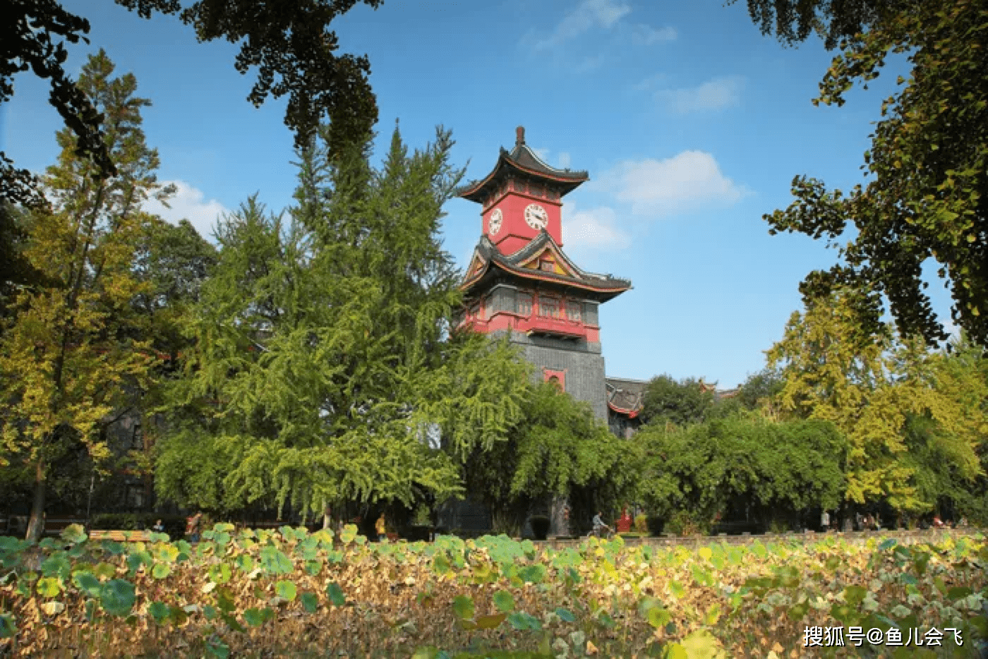 成都落户人均面积_成都积分落户图解(3)