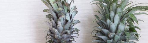 怎样选择新鲜的菠萝?生果摊主:教您一招,别再买错了