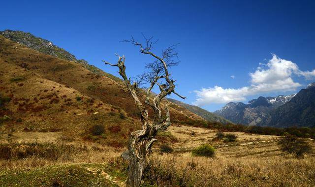 东汉山越人口_东汉末年地图