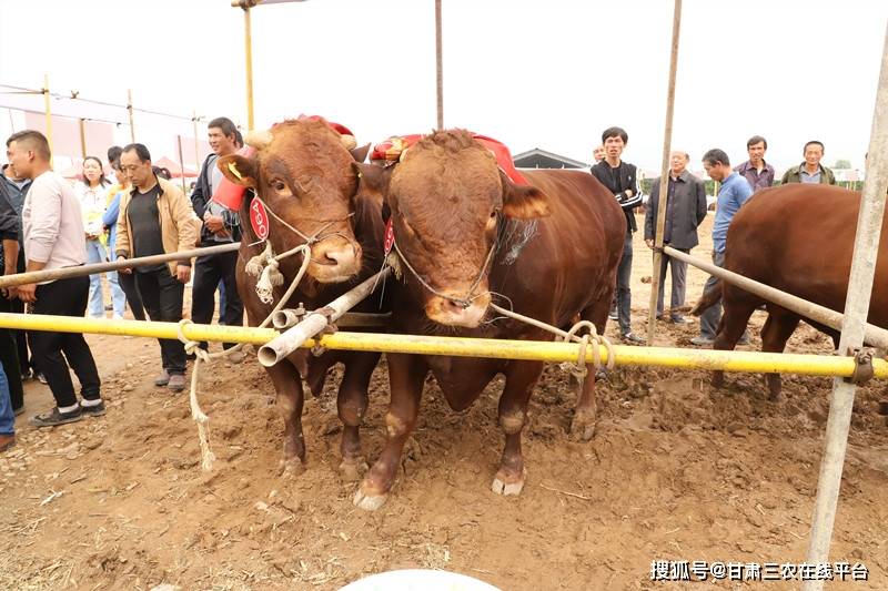 gdp753_中国gdp增长图(2)