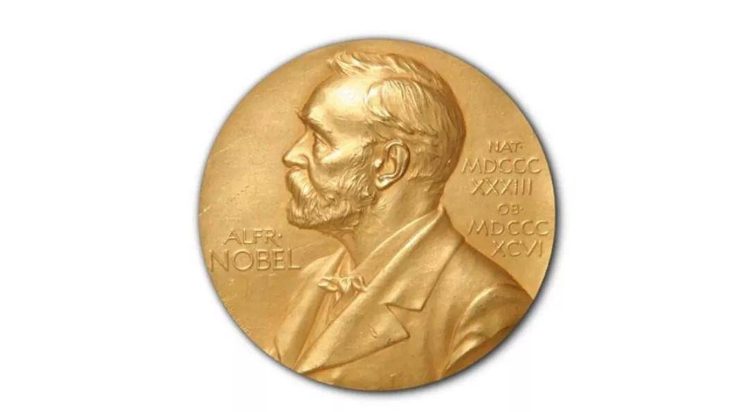 这文学圈,只要不要脸,就可以做诺贝尔文学奖候选人?|锐评-搜狐大视野-