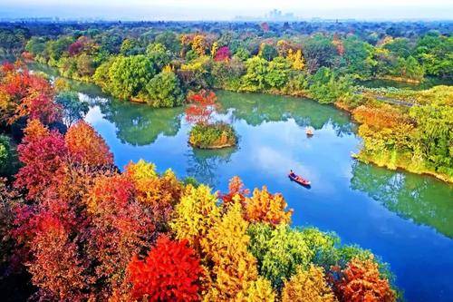 景致记录：浙江西溪湿地公园，充满着诗情画意，四季皆有景可赏