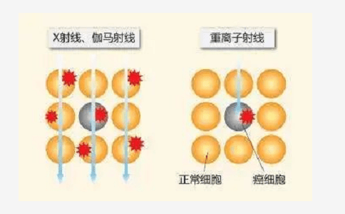 07ab7e406bc740efa22e2a5d625e90b0.png