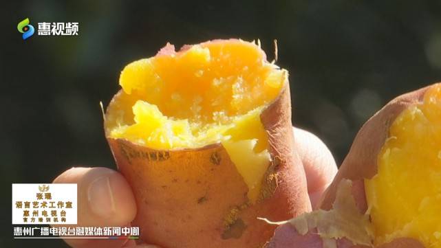 原创沿着公路看惠州白花镇既要金山银山也要绿水青山