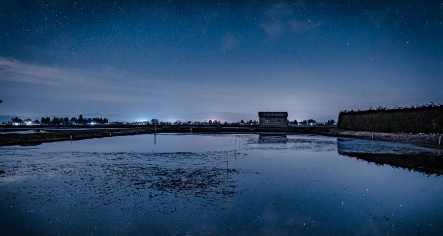 2020中国家电业年度汉字：屡败屡战到一战到底-家电圈官网