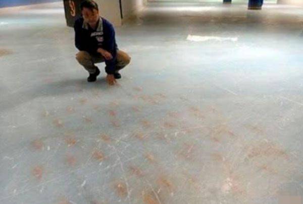 日本“最残忍”溜冰场，将5000条活鱼冻死在冰下，只为吸引顾客