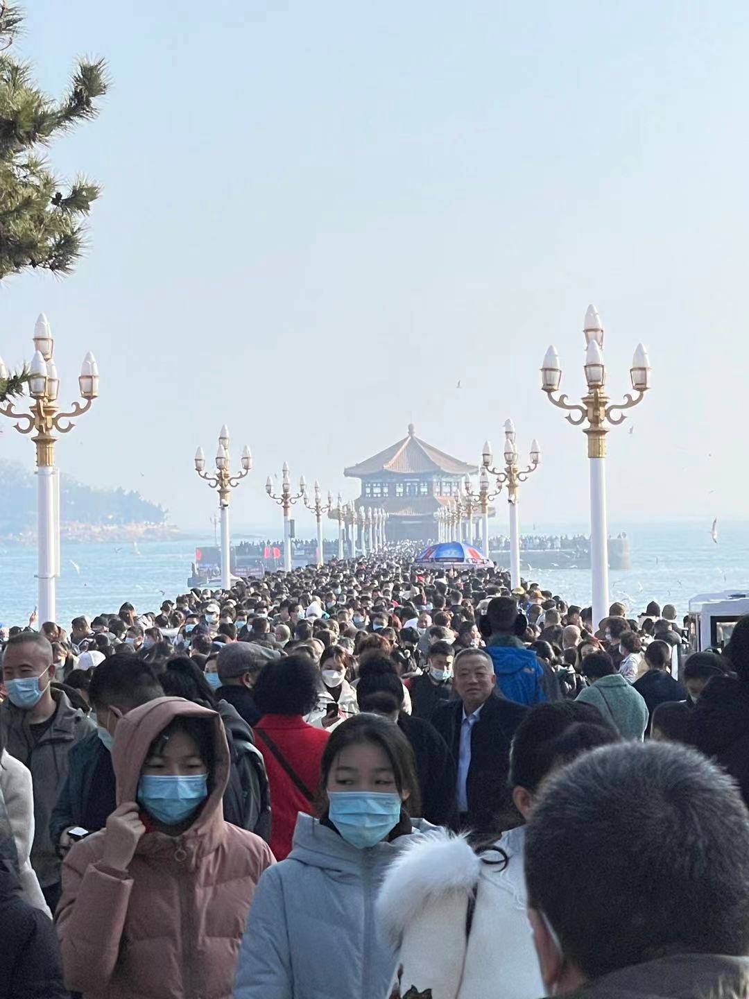 非必要不返乡，青岛景区人爆棚！市综合行政执法局全员取消休假坚守岗位