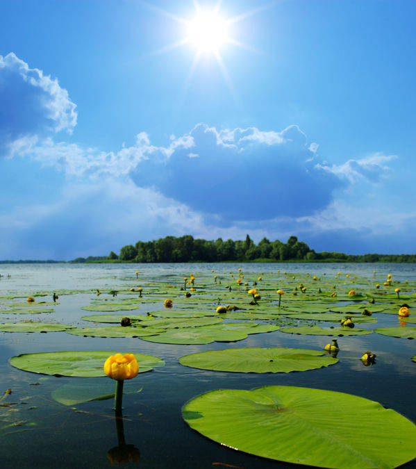 好在从3月份开始,属牛的人命中将会有丑土生厚土,厚土正印旺财,对于其