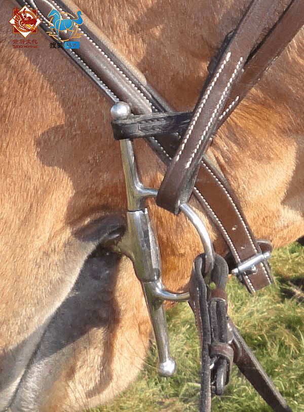 涨知识关于衔铁你知道多少全颊杆衔铁