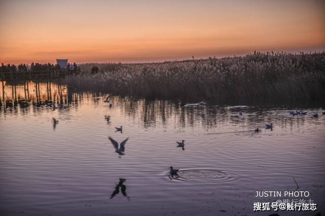 中国最传奇的湖泊，31年干涸6次，却被当地花重金复活