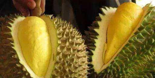 怎样选榴莲的小技巧 1921bf81c7b84397b44b8622e934e3bc.jpeg
