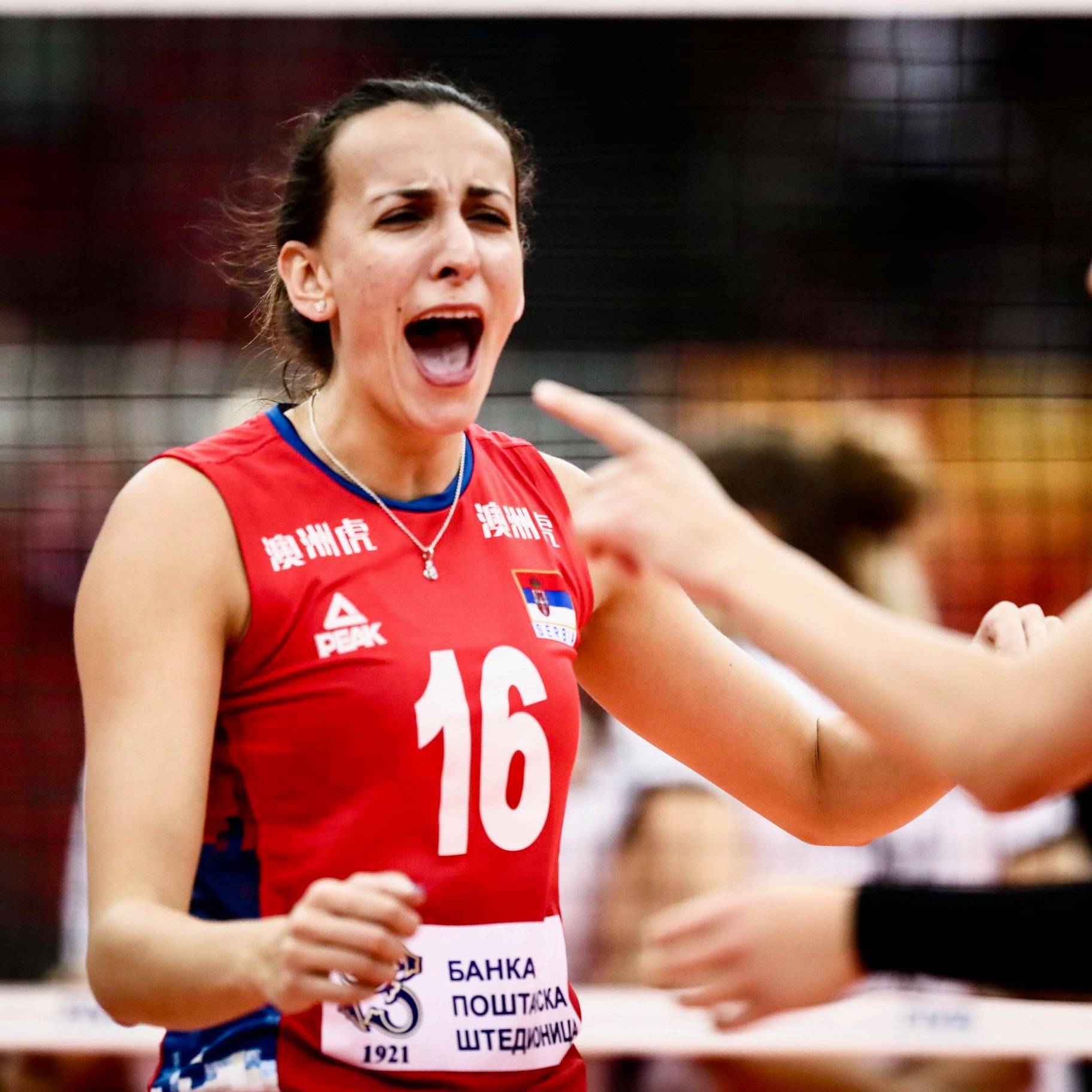 原创拉西奇国际排联百大榜第77位上榜球星milenarasic