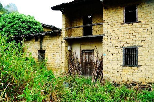 草什么门成语_草什么花什么成语(3)