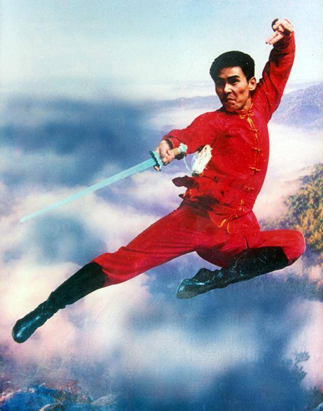 1974年,他跟随中国少年武术代表团出国访问.