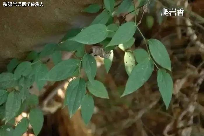 男人的十大良方