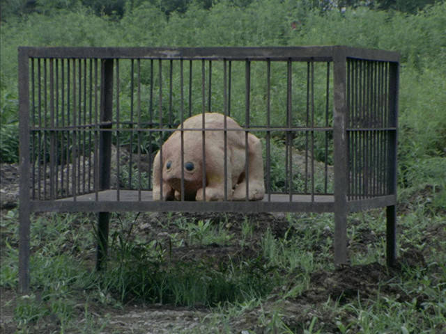 杰克奥特曼怪兽大百科2130集登场怪兽怪兽大百科第十三弹