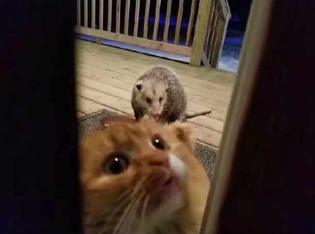 06f1d7a3f4a346a4a387198d24f928b9.jpeg