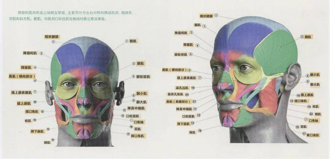 沈白带你看超强干货