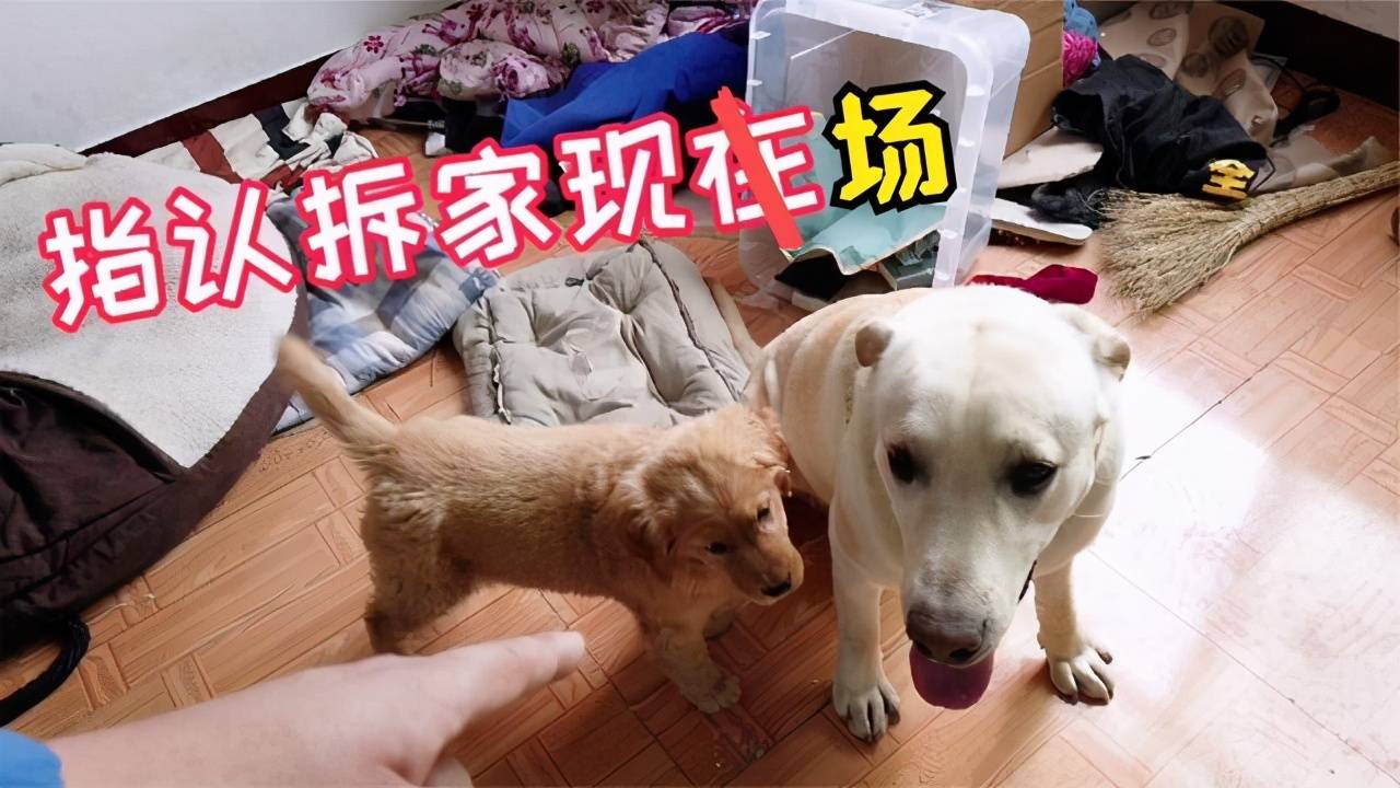 51ca9d857e554d56b1c25a3935f715a6.jpeg