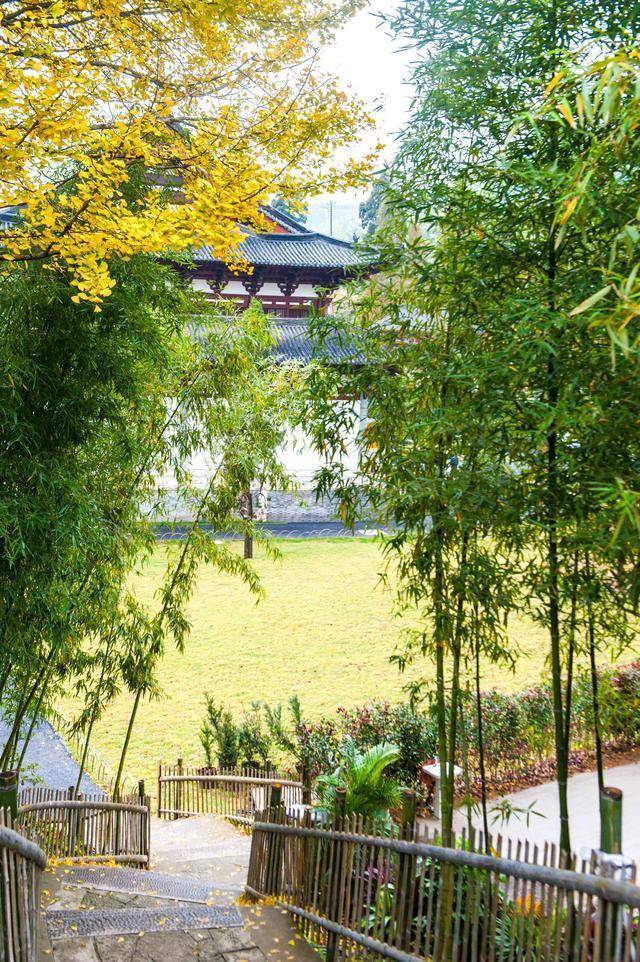 杭州径山寺：绝佳打卡圣地，在此旅行有治愈放松的舒适感，想去吗