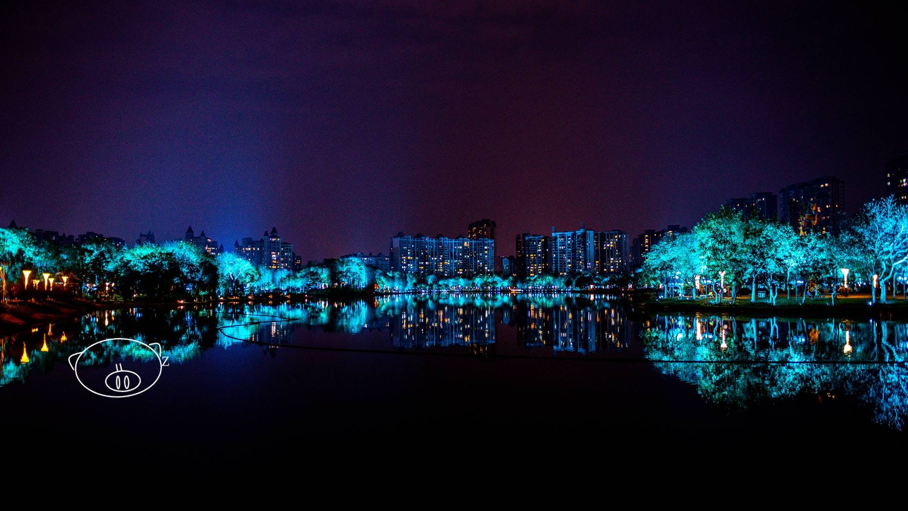 佛山｜亚艺公园上方一条亮着多彩灯光的“飞龙”