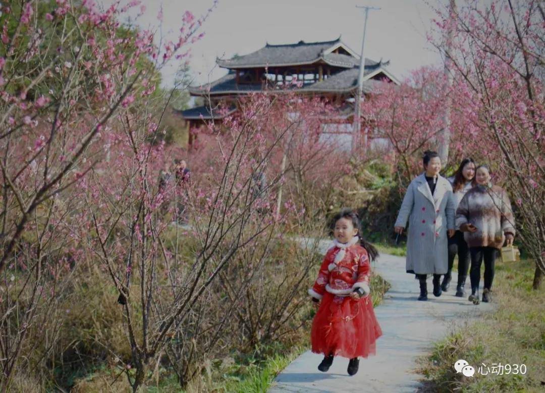 春暖花开 约上好友 赏花正当时