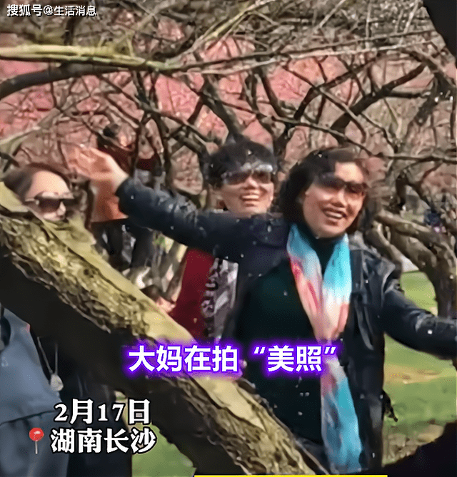 湖南一大妈为拍照效果摇晃桃花树，网友提倡罚款并拉入黑名单