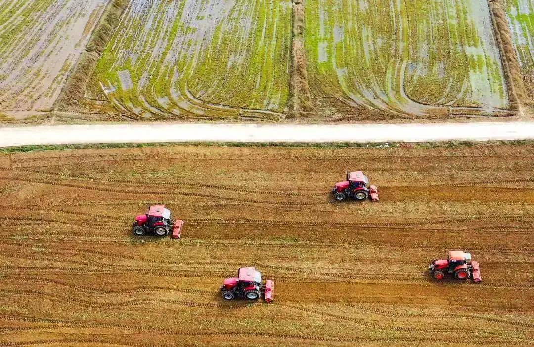 苟角镇常住人口_常住人口登记卡