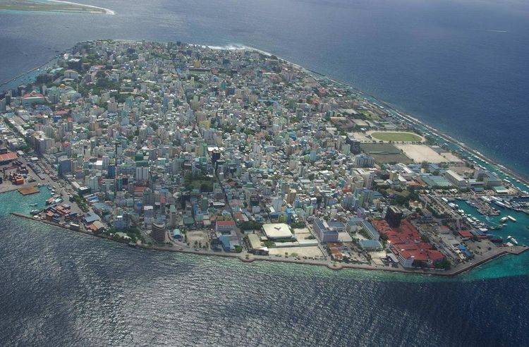 你知道世界上人口最多、最拥挤、最陡峭的岛屿，分别是什么岛吗？