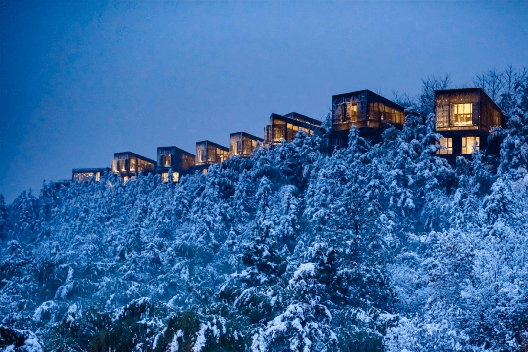 新春旅游打卡新方式，寄居蟹旅行与你同行！四川墨竹旅游咨询有限公司