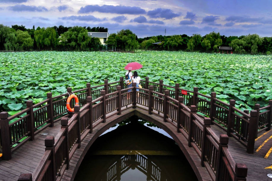上海号称第一的公园，被称魔都“后花园”，面积是世纪公园的3倍