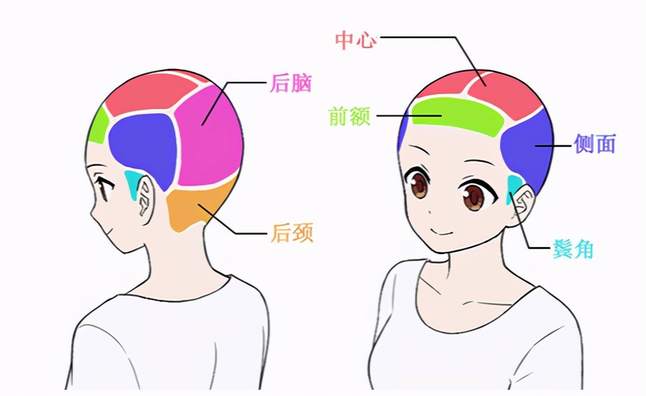 2,用箭头来确定头发生长的方向在这些色块的基础上,用箭头来大体把