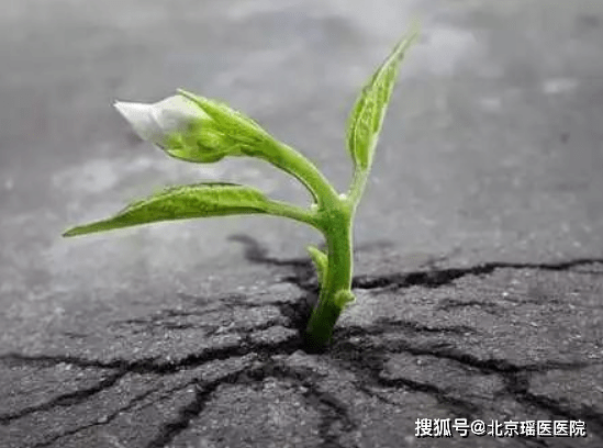 a203ff3774ca49d5b78d77f2006685af.png