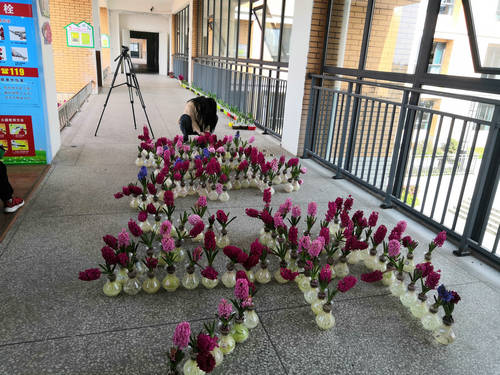 赏花 +采摘 泸县城东小学成了春天里的乐园