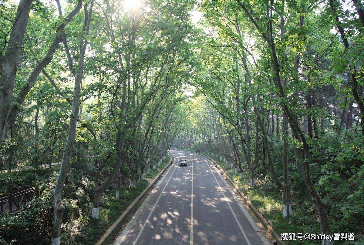 城市首位度用GDP还是人口_中国城市gdp排名2020(3)