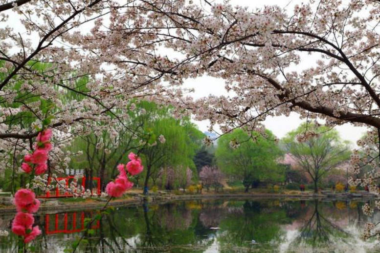 北京一大型公园走红，被称首都“后花园”，门票2元不输北海