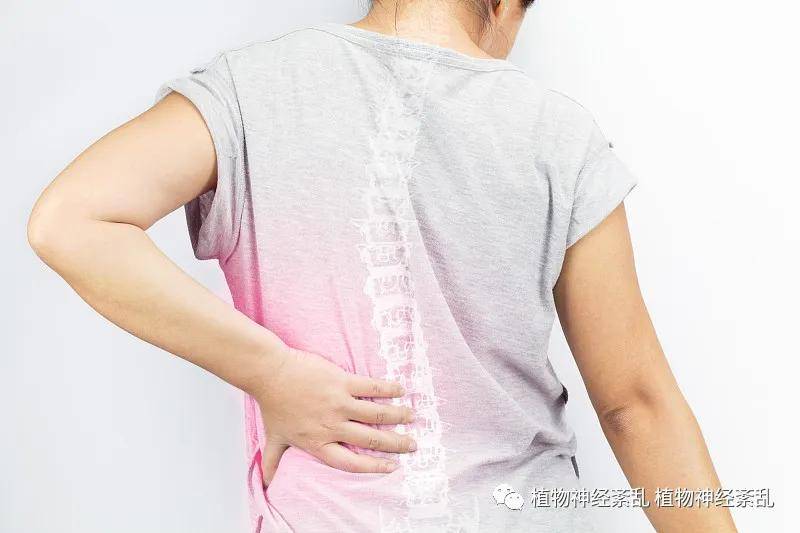 什么是游走性关节疼 843cf33ddfb64ca38d08ab0f162ed9c0.jpeg
