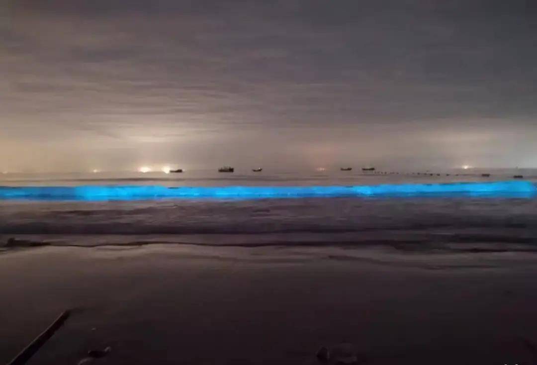 太梦幻！广西北海涠洲岛出现蓝色荧光海滩