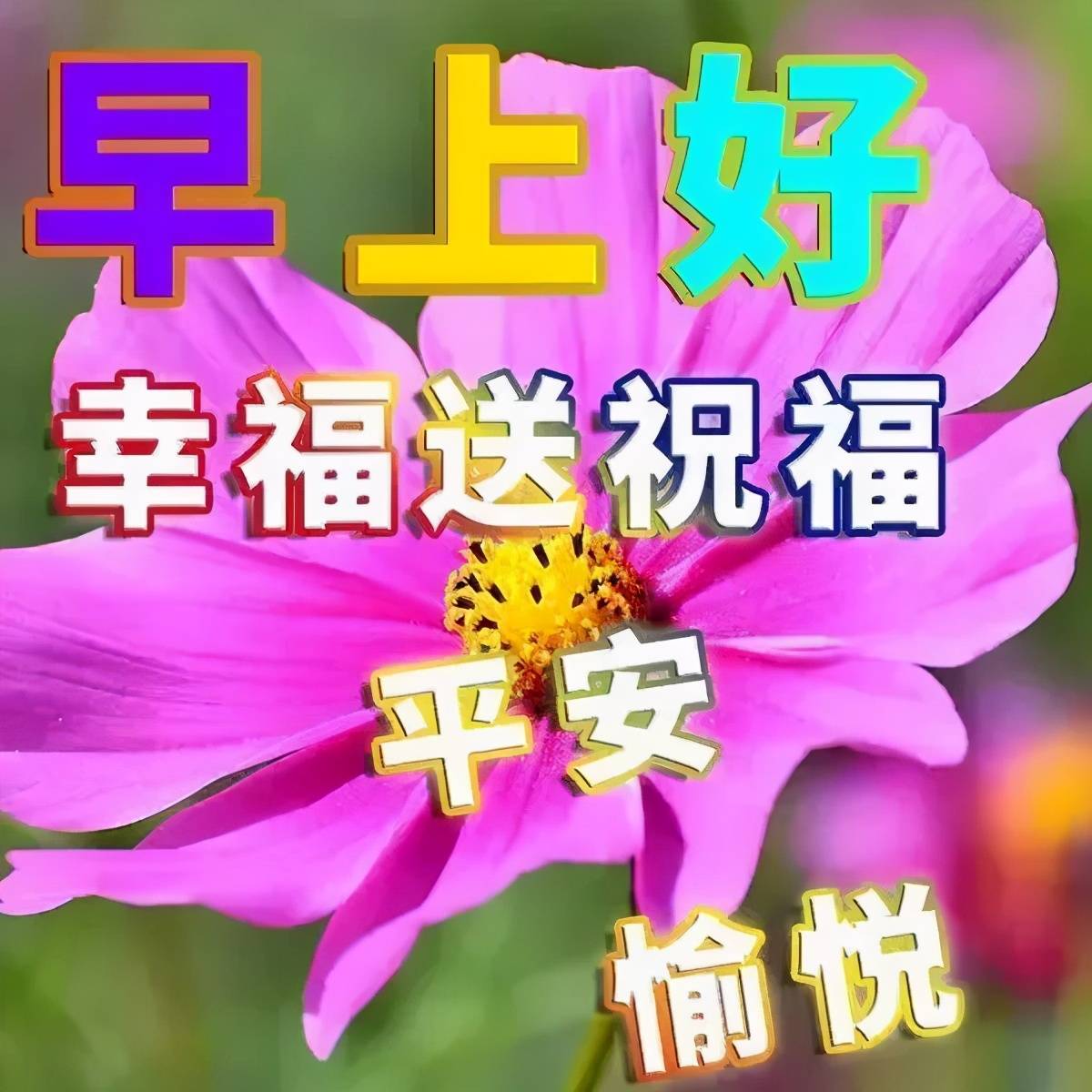 原创早上好图片大家早上好问候早安图片