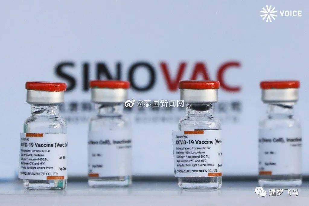 原创中国新冠疫苗抵泰泰国总理巴育携高官亲自接机双手展示称放心
